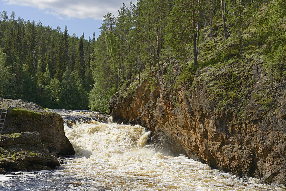 Virtaava vesi koskessa puiden yläpuolella.